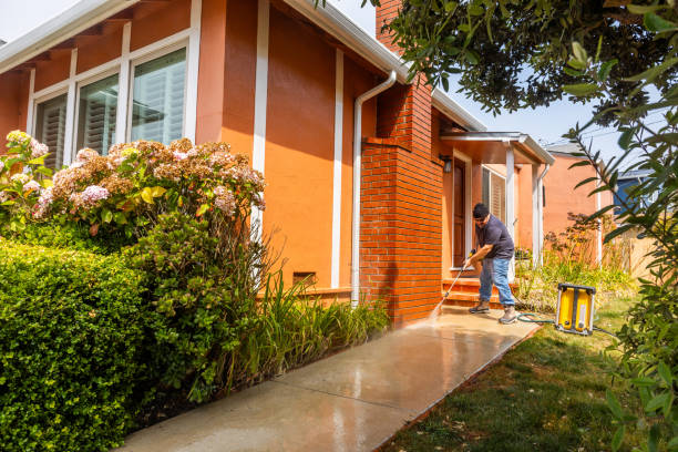 Best House Pressure Washing  in Salineville, OH