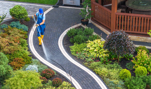 Best Exterior Home Cleaning  in Salineville, OH